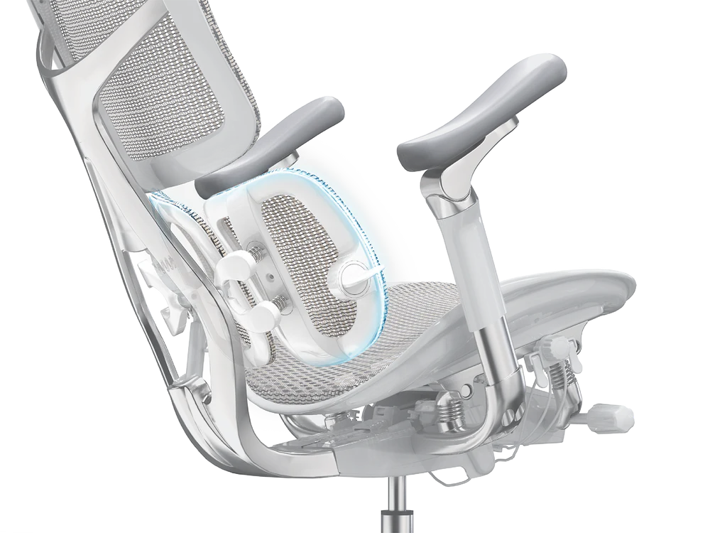 デュアルダイナミックランバーサポート