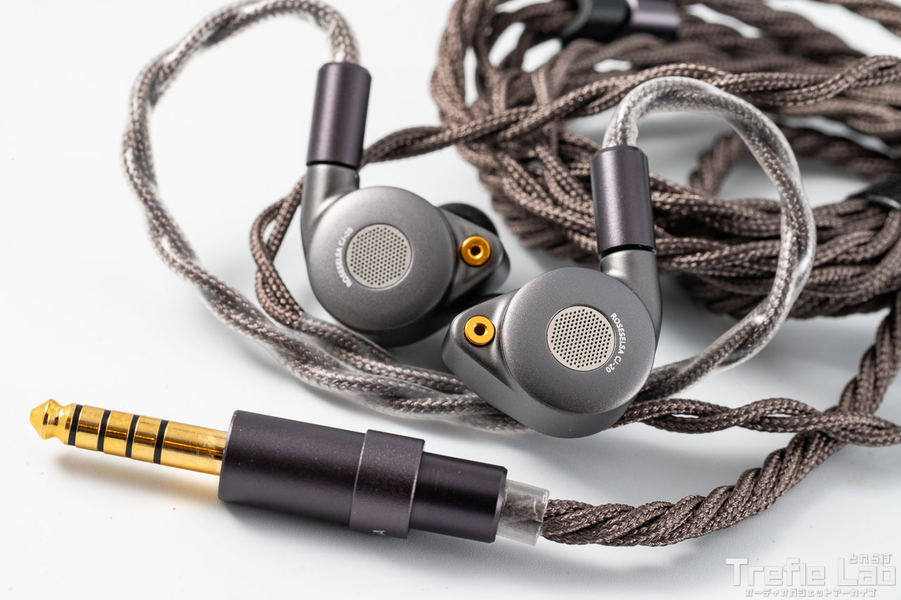 ROSESELSA x AAV CJ20